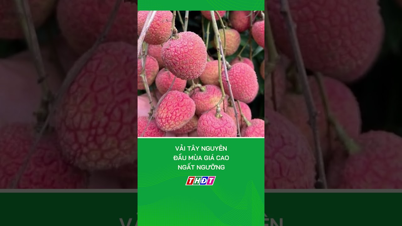 Thị trường và nhu cầu tiêu thụ