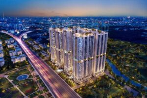 Xu hướng tìm kiếm và nhu cầu của thị trường