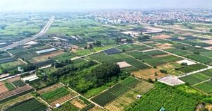 Rủi ro liên quan đến đấu giá